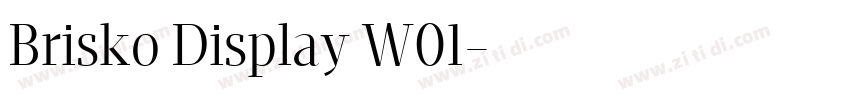 Brisko Display W01字体转换 Brisko Display W01字体转换